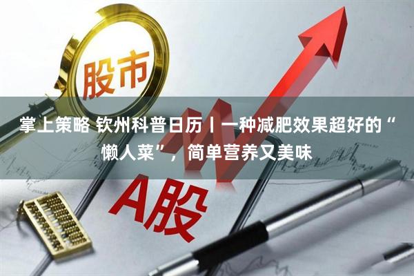掌上策略 钦州科普日历丨一种减肥效果超好的“懒人菜”，简单营养又美味
