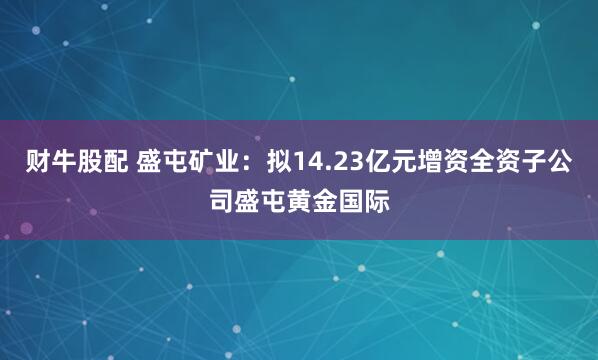 财牛股配 盛屯矿业：拟14.23亿元增资全资子公司盛屯黄金国际