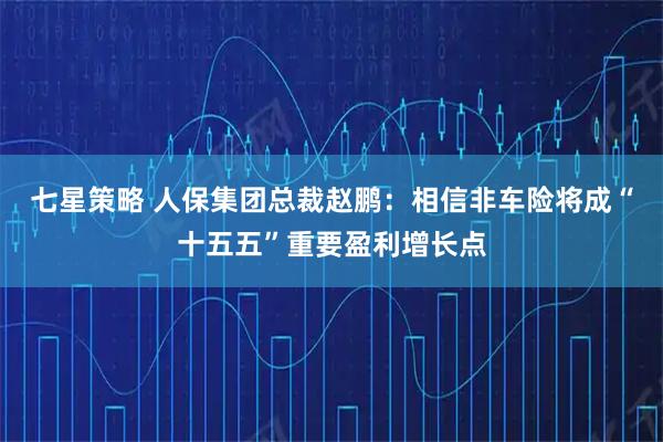七星策略 人保集团总裁赵鹏：相信非车险将成“十五五”重要盈利增长点