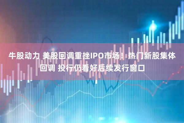 牛股动力 美股回调重挫IPO市场！热门新股集体回调 投行仍看好后续发行窗口