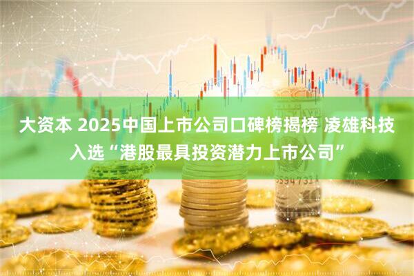 大资本 2025中国上市公司口碑榜揭榜 凌雄科技入选“港股最具投资潜力上市公司”
