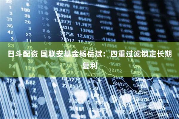 日斗配资 国联安基金杨岳斌：四重过滤锁定长期复利