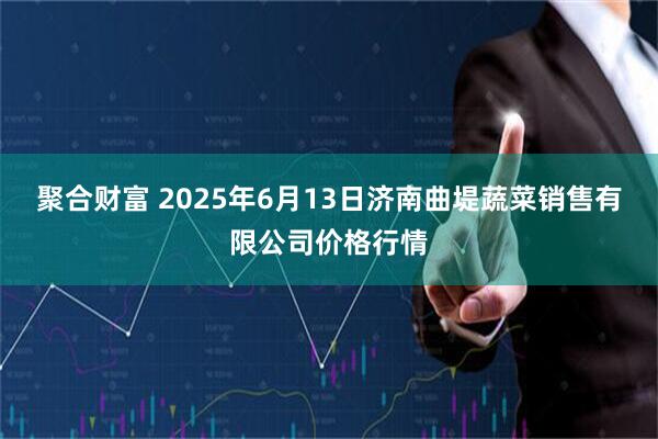 聚合财富 2025年6月13日济南曲堤蔬菜销售有限公司价格行情