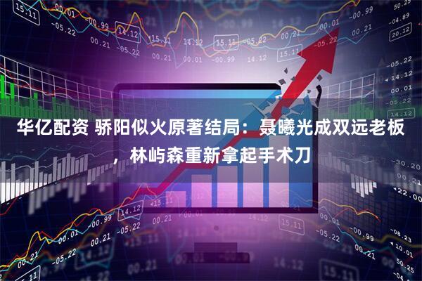 华亿配资 骄阳似火原著结局：聂曦光成双远老板，林屿森重新拿起手术刀