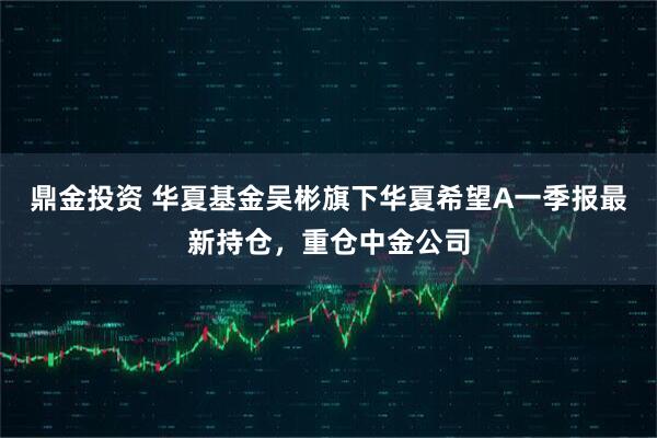 鼎金投资 华夏基金吴彬旗下华夏希望A一季报最新持仓，重仓中金公司