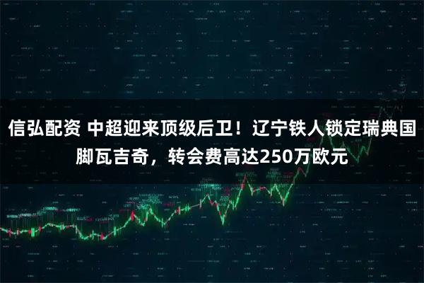 信弘配资 中超迎来顶级后卫！辽宁铁人锁定瑞典国脚瓦吉奇，转会费高达250万欧元