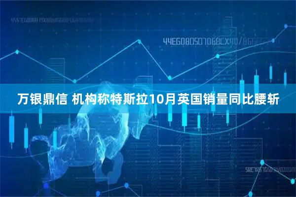 万银鼎信 机构称特斯拉10月英国销量同比腰斩